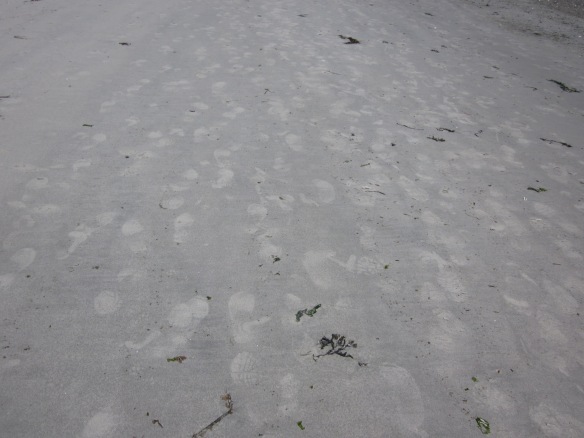 Footprints June.5/13
